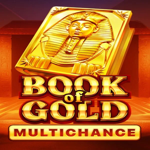 Slots logo of Book of Gold Multichance from Playson at LuckyHills Casino